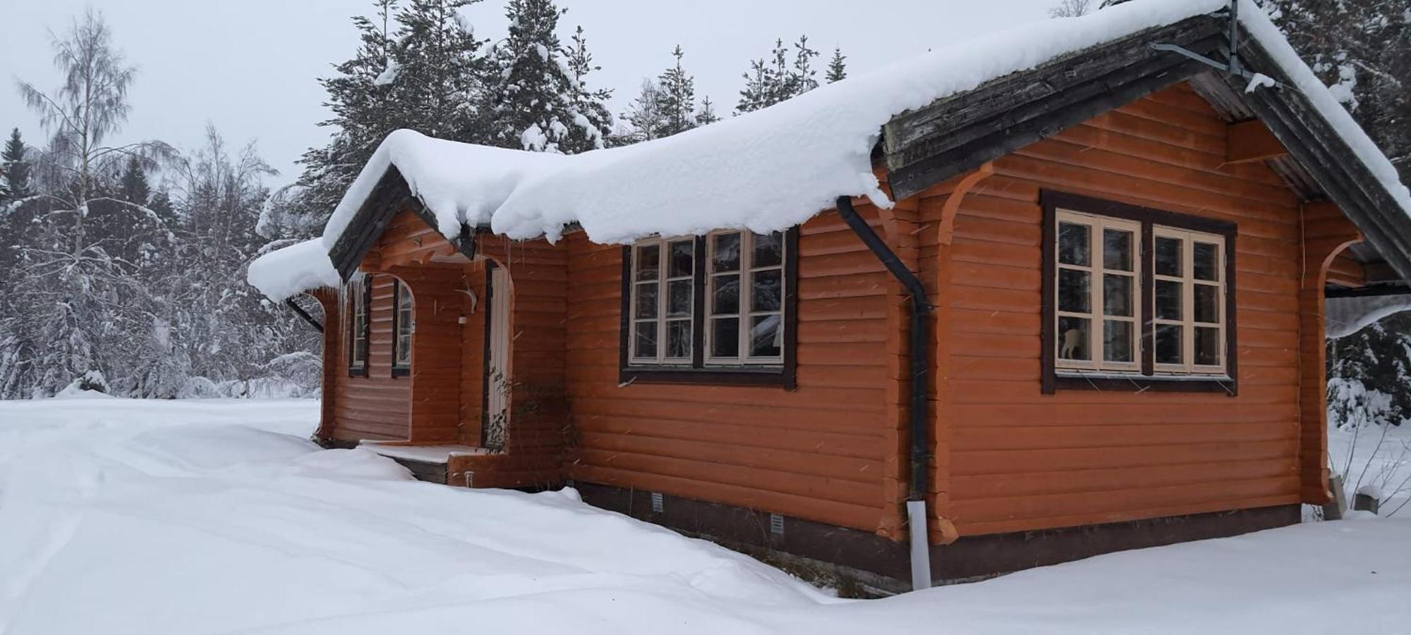 B&B Camp Aengra Lassekrog Εξωτερικό φωτογραφία